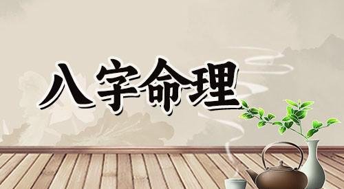 1981年出生是什么命