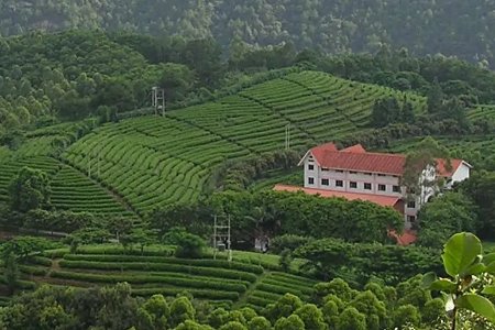 梅州旅游必去的景点有哪些？