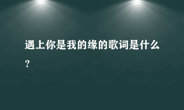 遇上你是我的缘的歌词是什么？