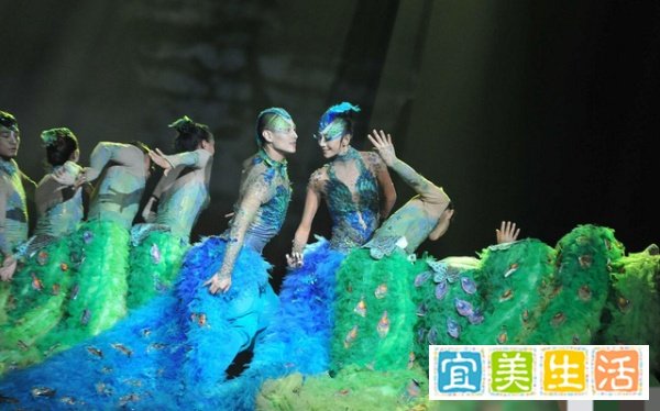 《《彩舞》之辩:杨丽萍的艺术探索与社会观念的交锋》
