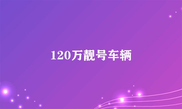120万靓号车辆