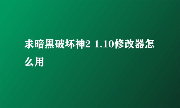 求暗黑破坏神2 1.10修改器怎么用