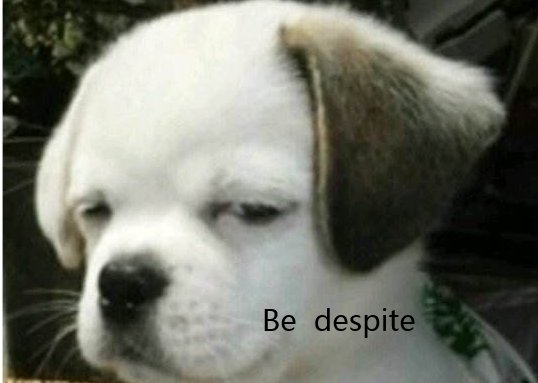 despite意思