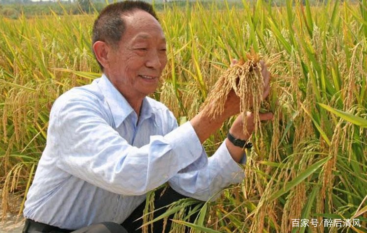 袁隆平奉献一生住宅朴素，董卿豪宅却宛如宫殿，为什么吉克隽逸被吐槽？