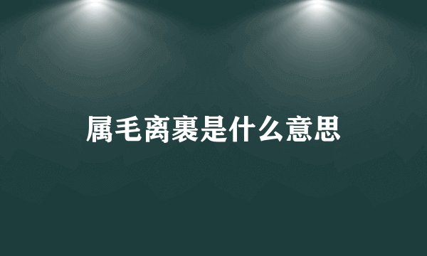 属毛离裹是什么意思