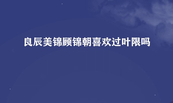 良辰美锦顾锦朝喜欢过叶限吗