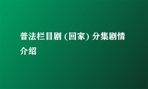 普法栏目剧 (回家) 分集剧情介绍