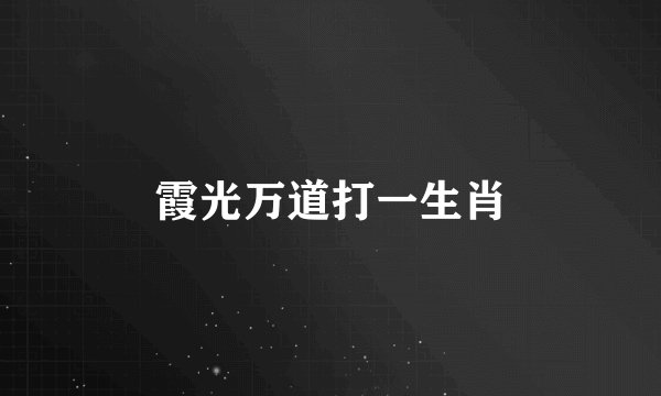 霞光万道打一生肖
