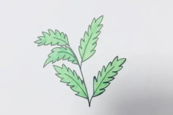 艾草怎么画才好看