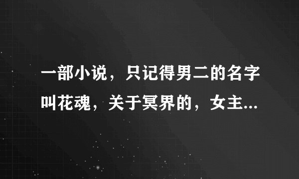 一部小说，只记得男二的名字叫花魂，关于冥界的，女主的一个孩子貌似叫冥焰
