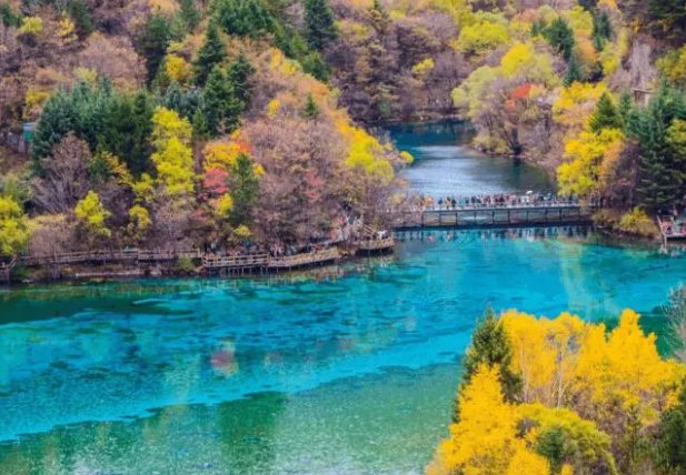 十一月份去哪旅游最好