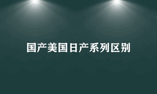 国产美国日产系列区别
