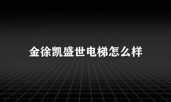 金徐凯盛世电梯怎么样