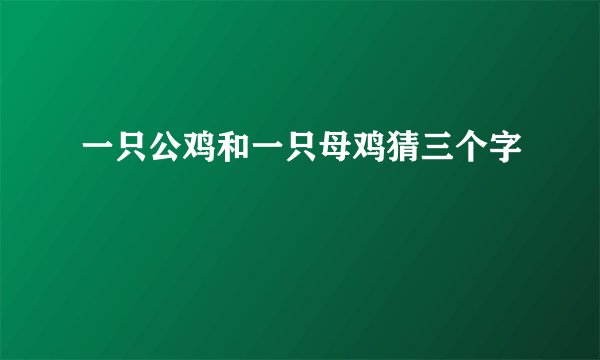一只公鸡和一只母鸡猜三个字