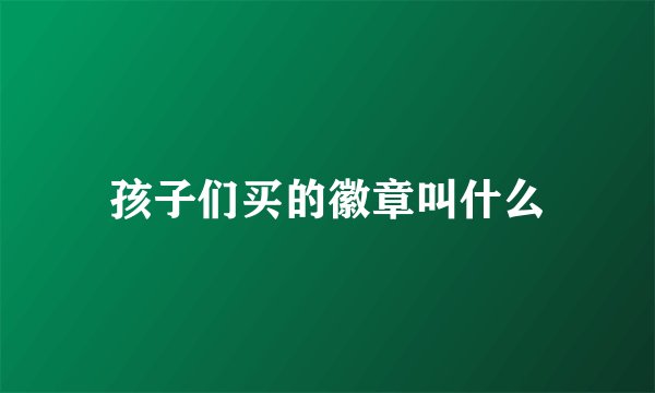 孩子们买的徽章叫什么