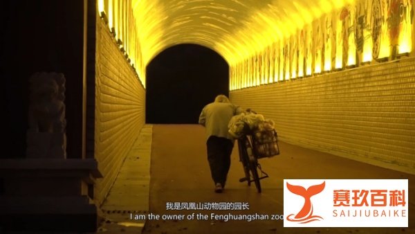 中国最孤独动物园，白发老兵苦守32年：我用一辈子，换你10块钱