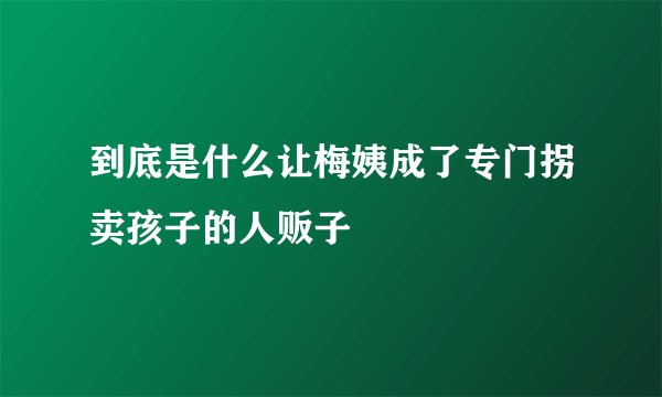 到底是什么让梅姨成了专门拐卖孩子的人贩子