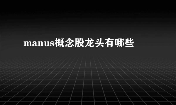 manus概念股龙头有哪些