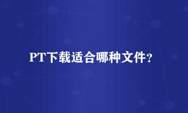 PT下载适合哪种文件？