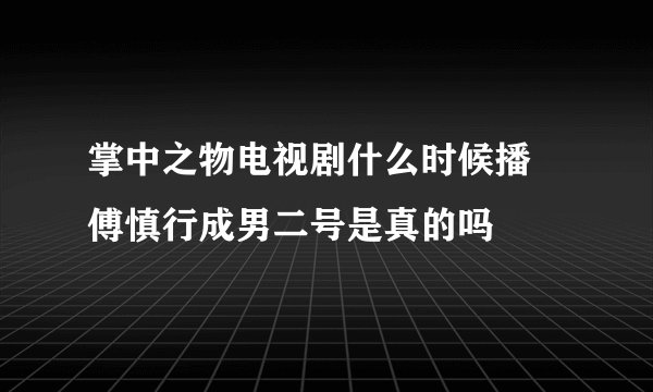掌中之物电视剧什么时候播 傅慎行成男二号是真的吗