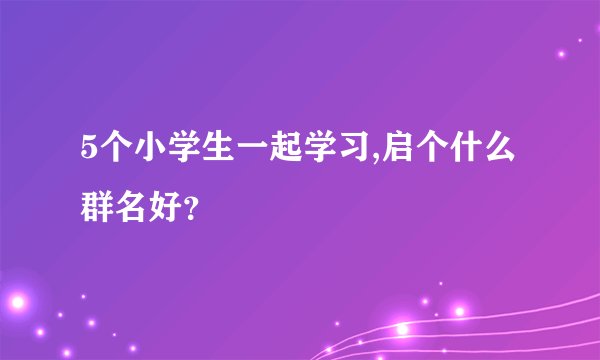 5个小学生一起学习,启个什么群名好？