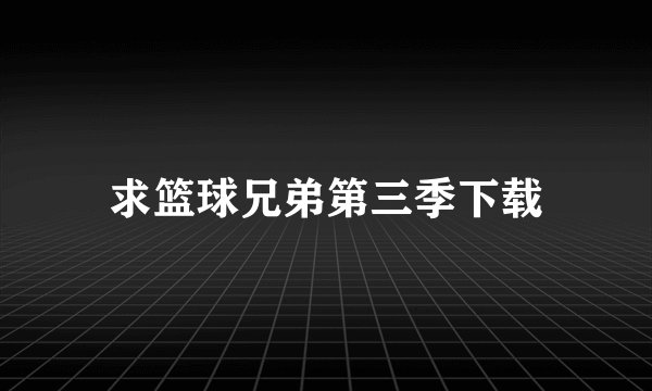 求篮球兄弟第三季下载