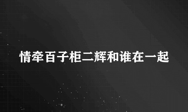 情牵百子柜二辉和谁在一起