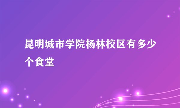 昆明城市学院杨林校区有多少个食堂