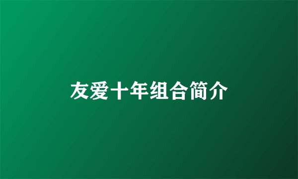 友爱十年组合简介