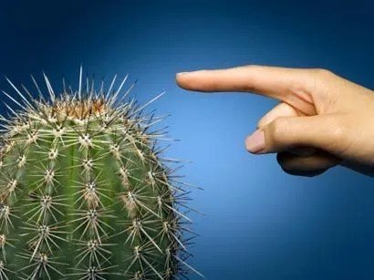 锋芒是什么意思？