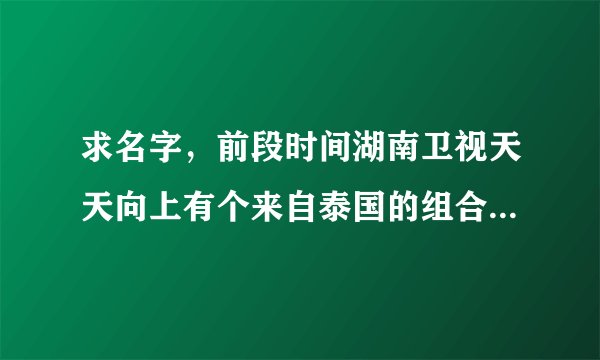 求名字，前段时间湖南卫视天天向上有个来自泰国的组合~！超多帅哥，里面的2个主唱演的那部很有名的电视剧