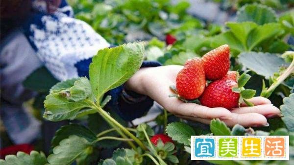上海团建|30个团建地点推荐秘?必收藏，团建攻略