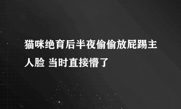 猫咪绝育后半夜偷偷放屁踢主人脸 当时直接懵了