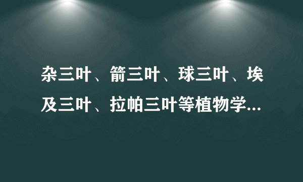 杂三叶、箭三叶、球三叶、埃及三叶、拉帕三叶等植物学名是什么？