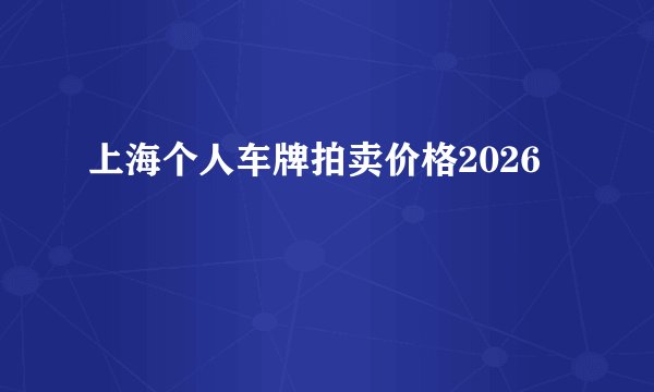 上海个人车牌拍卖价格2026
