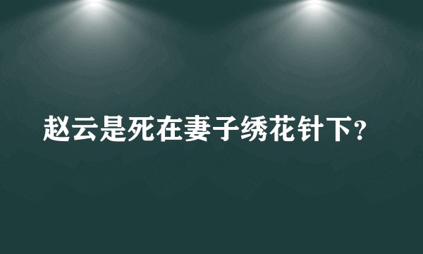 赵云是死在妻子绣花针下？