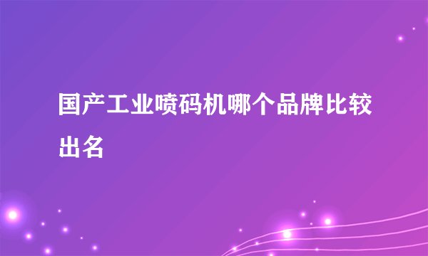 国产工业喷码机哪个品牌比较出名
