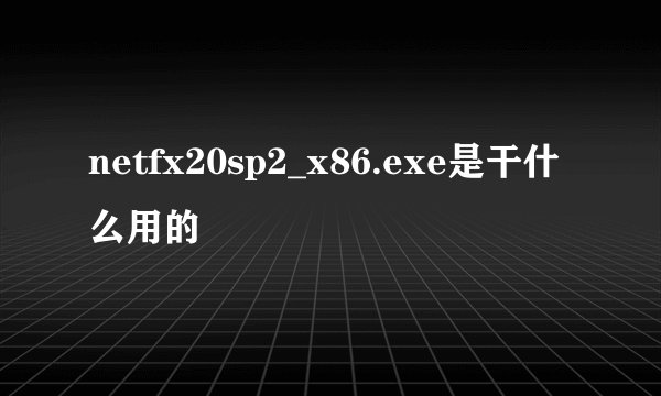 netfx20sp2_x86.exe是干什么用的