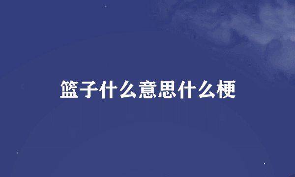 篮子什么意思什么梗
