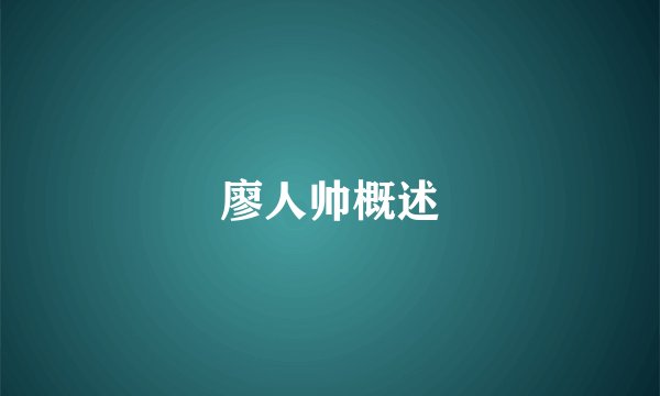廖人帅概述