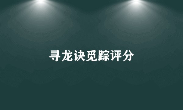 寻龙诀觅踪评分