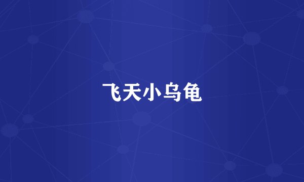 飞天小乌龟