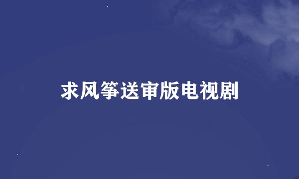 求风筝送审版电视剧