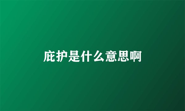 庇护是什么意思啊