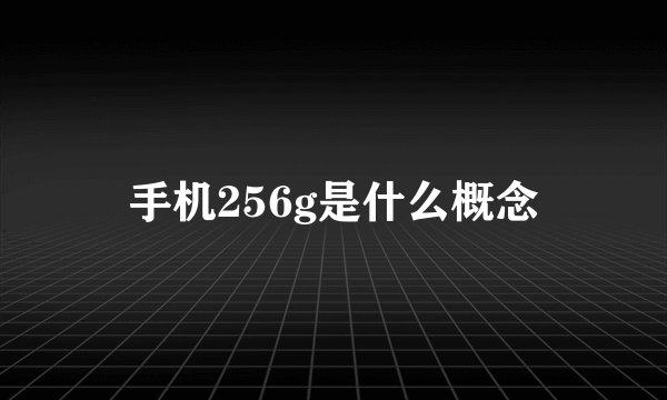 手机256g是什么概念