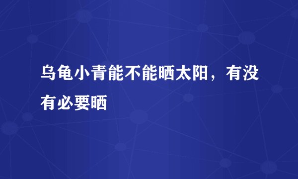 乌龟小青能不能晒太阳，有没有必要晒