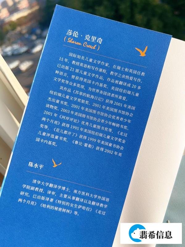 《苏菲的航海日记》:一次心灵与大海的双重冒险