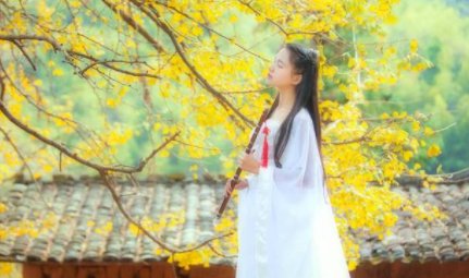 葳蕤的女子是什么意思?