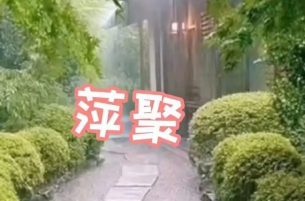 萍聚的含义是什么