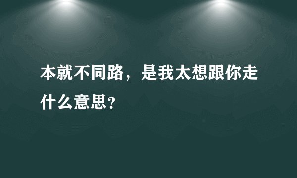 本就不同路，是我太想跟你走什么意思？